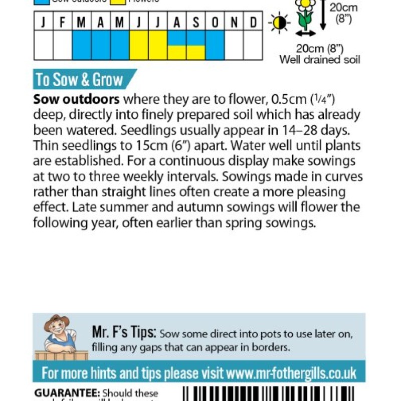 GRASS Bunny Tails - Lagurus ovatus