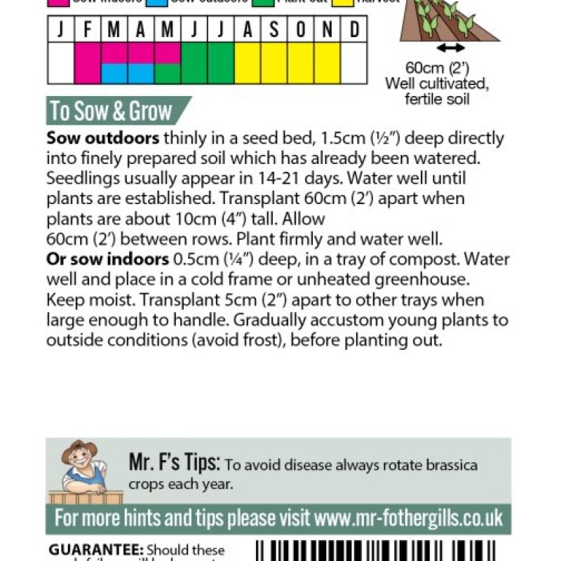 CABBAGE (Savoy) Savoy King F1