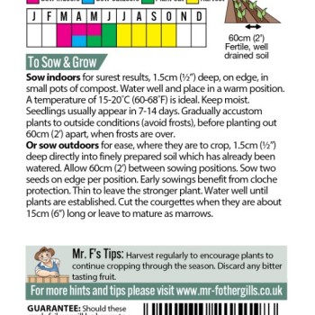 COURGETTE Black Beauty