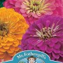 ZINNIA Jazz