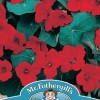 NASTURTIUM Empress of India