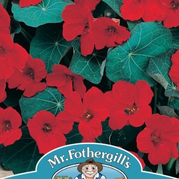 NASTURTIUM Empress of India