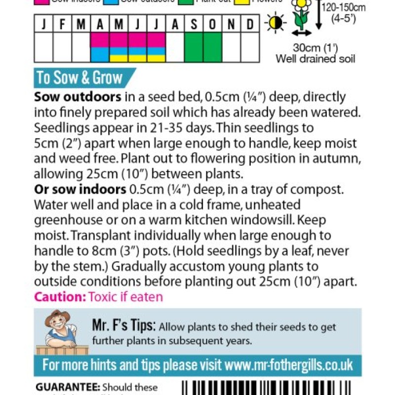 FOXGLOVE Excelsior Mixed