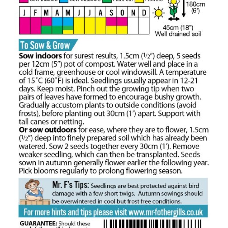 SWEET PEA High Scent