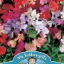 SWEET PEA Dwarf Explorer Mixed