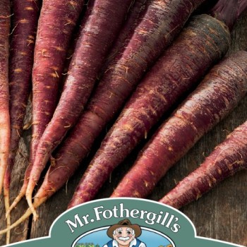 CARROT Purple Sun F1