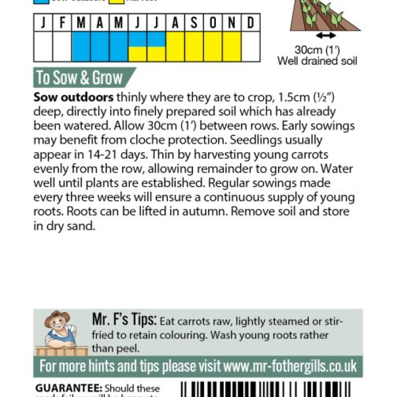 CARROT Purple Sun F1