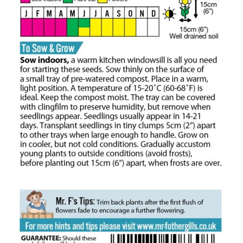 LOBELIA Cambridge Blue