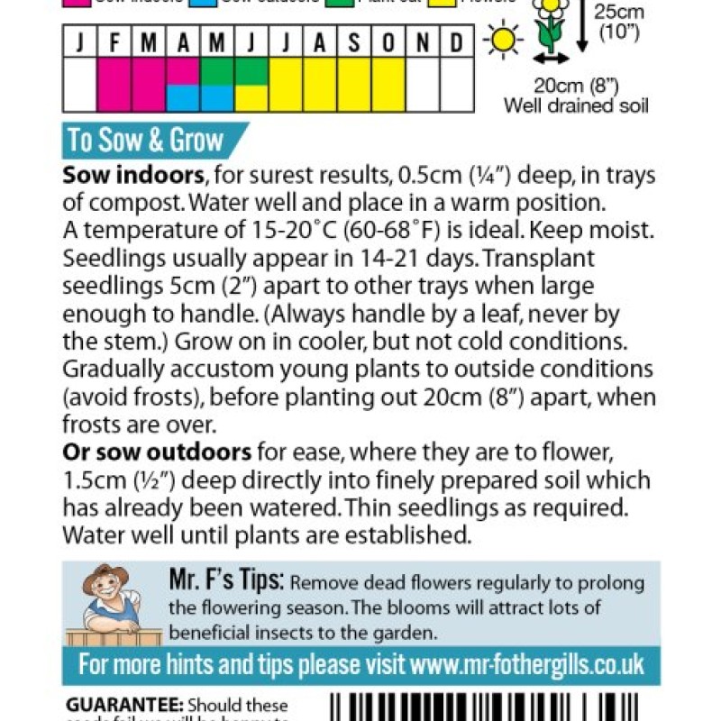 MARIGOLD (French) Honeycomb