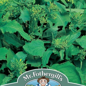 BROCCOLI Raab (60 Days)