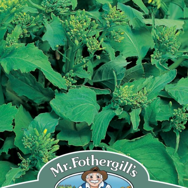 BROCCOLI Raab (60 Days)