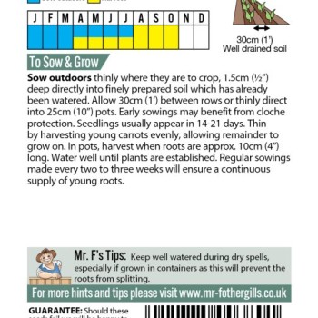 CARROT Amsterdam 3 (Sprint)