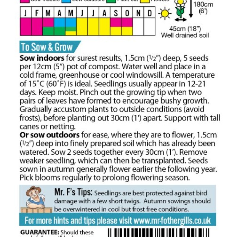 SWEET PEA Perfume Duet (grandiflora)