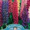 LUPIN Russell Mixed