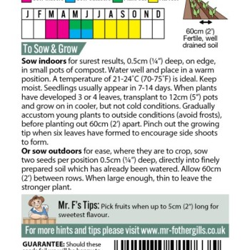 CUCUMBER (Gherkin) Cornichon de Paris