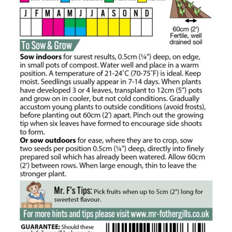 CUCUMBER (Gherkin) Cornichon de Paris