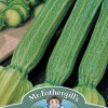 COURGETTE Romanesco
