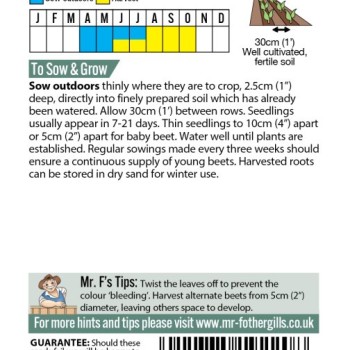 BEETROOT Moulin Rouge