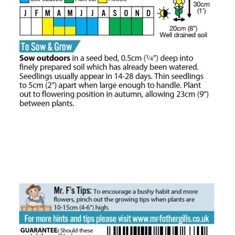 WALLFLOWER Dwarf Bedding Mixed