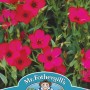 FLAX (Linum) Scarlet