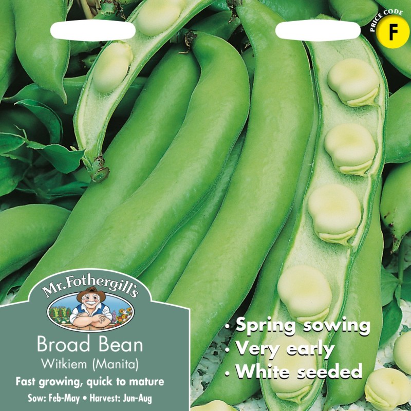 BROAD BEAN Witkiem (Manita)
