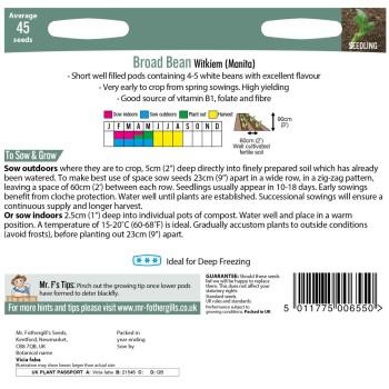 BROAD BEAN Witkiem (Manita)