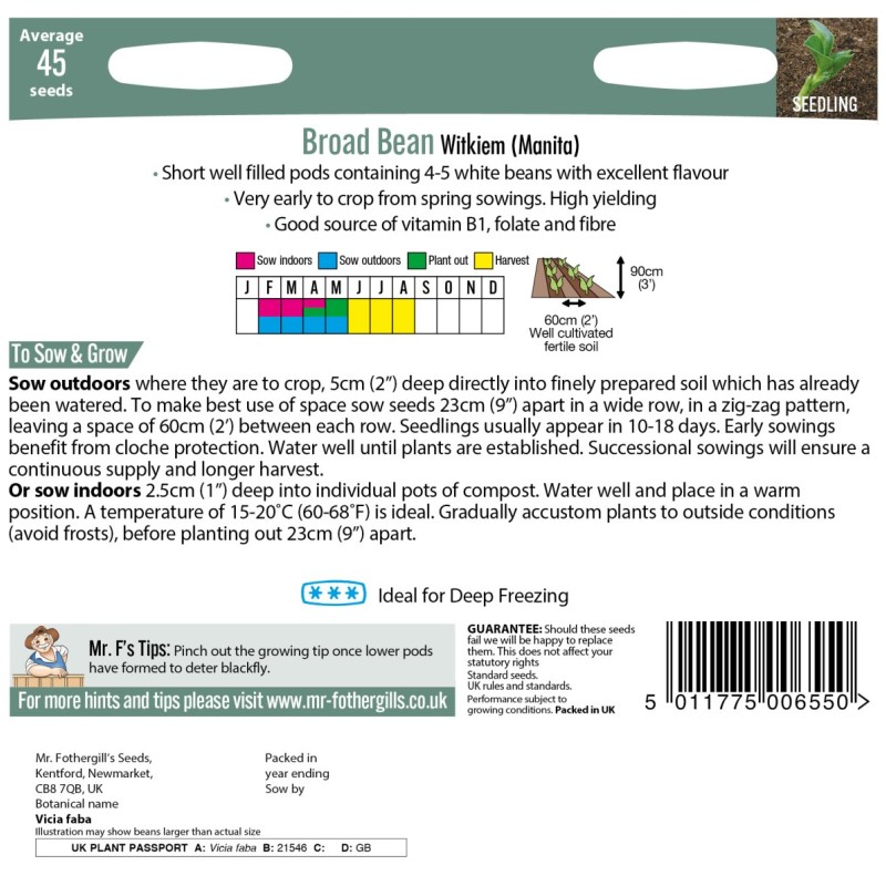 BROAD BEAN Witkiem (Manita)