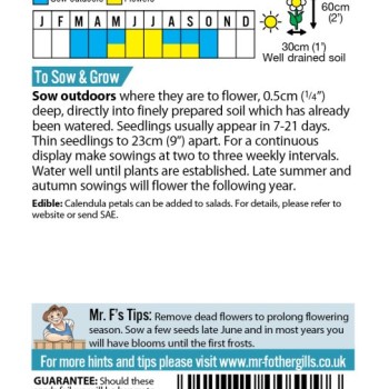 CALENDULA Art Shades