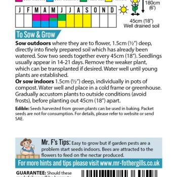 SUNFLOWER Magic Roundabout F1