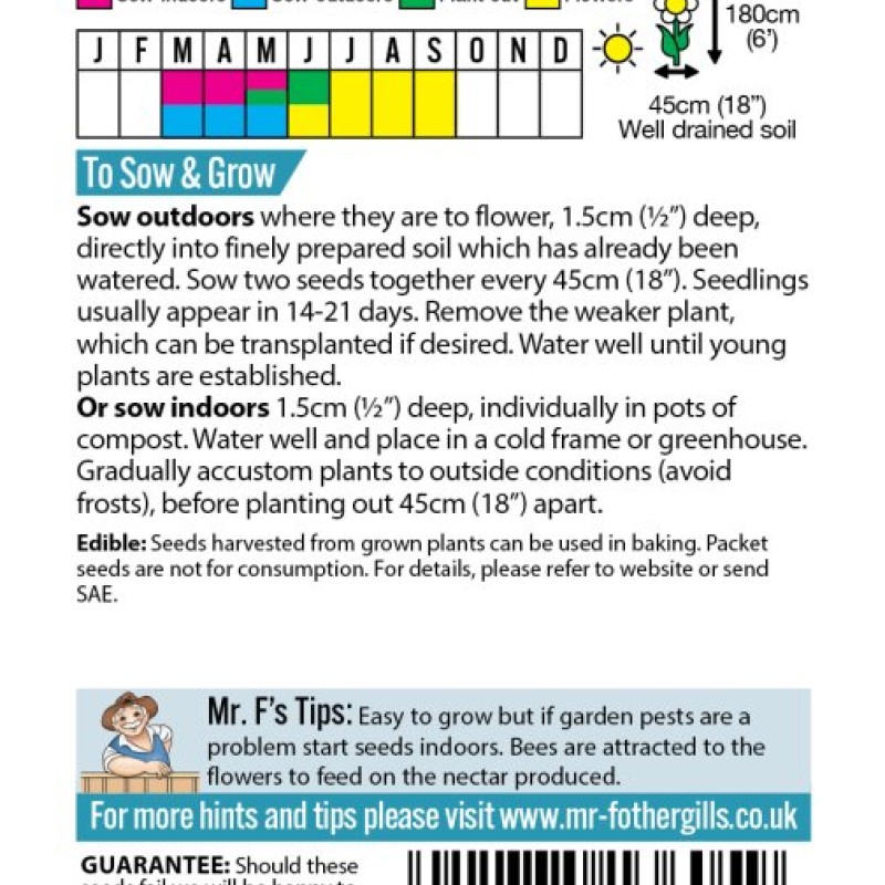 SUNFLOWER Magic Roundabout F1