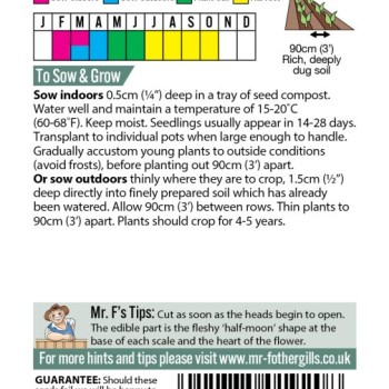 ARTICHOKE Green Globe