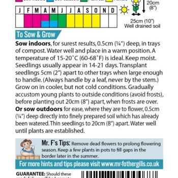 ASTER Colour Carpet Mixed