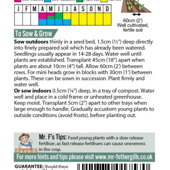 CAULIFLOWER Romanesco natalino