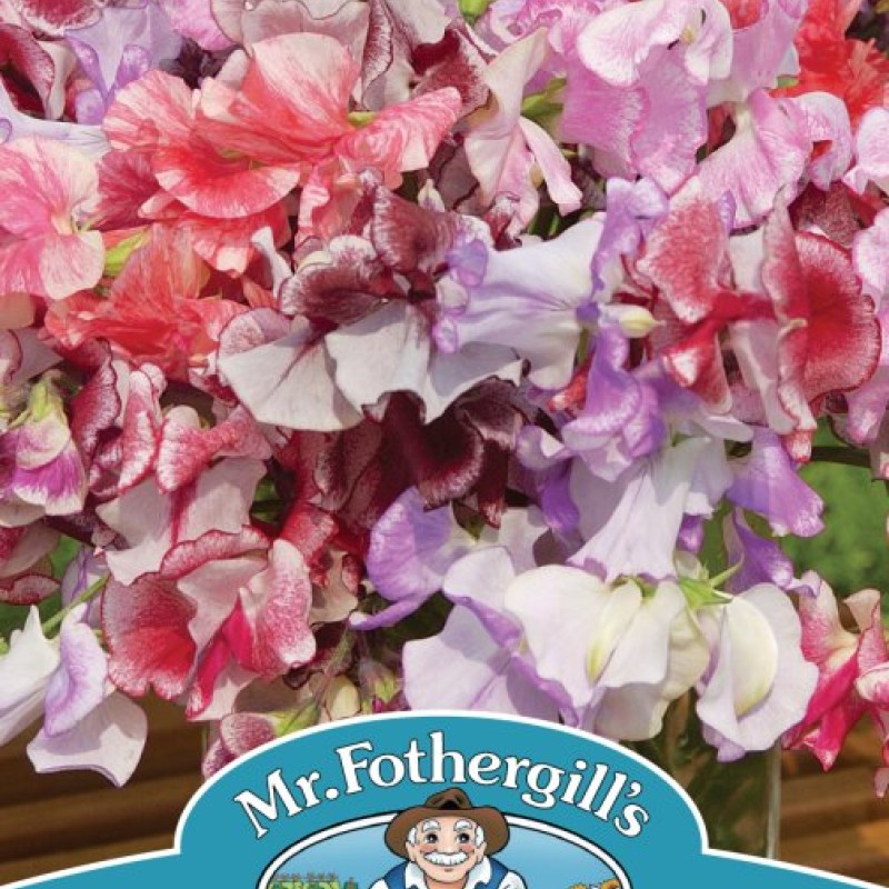 SWEET PEA Ripple Mixed