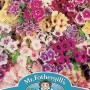 PHLOX Tapestry