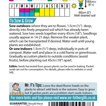 SUNFLOWER Sunburst Mixed