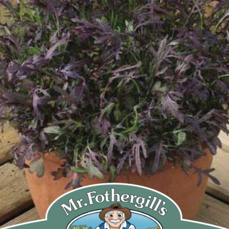 MUSTARD Oriental Ruby Streaks