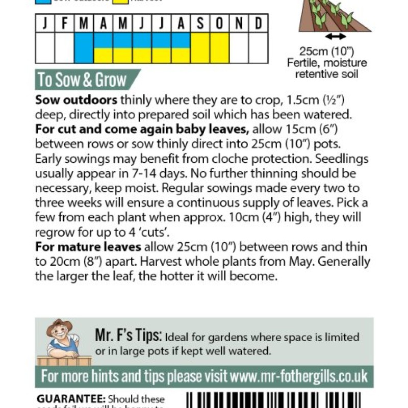 MUSTARD Oriental Ruby Streaks