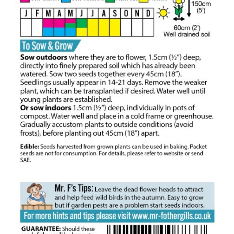 SUNFLOWER Vanilla Ice