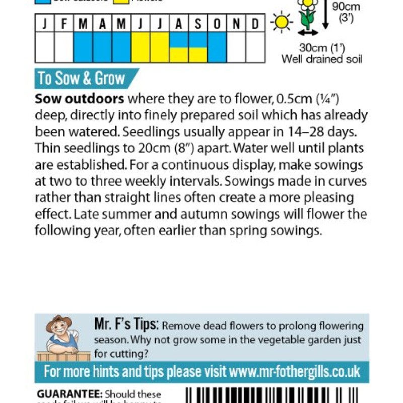 CORNFLOWER Tall Mixed