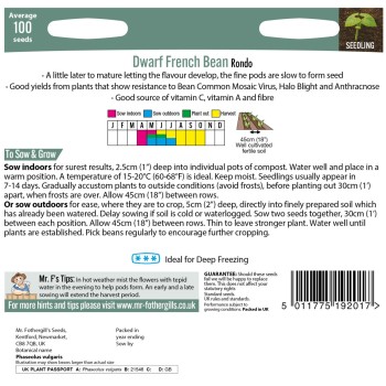 DWARF FRENCH BEAN Rondo