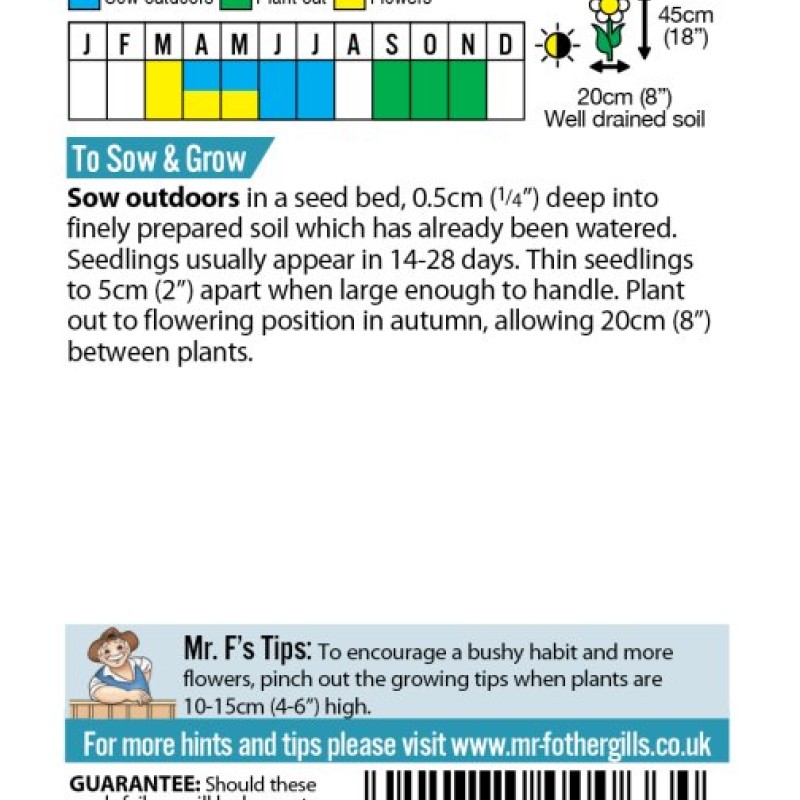 WALLFLOWER Monarch Fair Lady