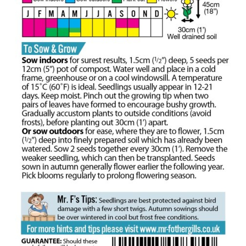 SWEET PEA Patio Mixed