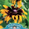 RUDBECKIA Aries