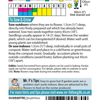 SUNFLOWER Black Magic F1