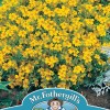 TAGETES Golden Gem