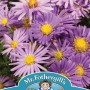 ASTER (Michaelmas Daisy) Mixed