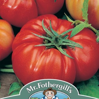 TOMATO Costoluto fiorentino