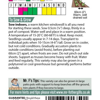 TOMATO Costoluto fiorentino