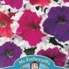 PETUNIA Frost Mixed F1